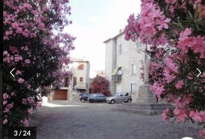 Ruoms Petite Maison 3* Centre-Village Exterior photo